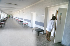 Aukso gysla tekės po priedanga Aukso gysla tekės po priedanga