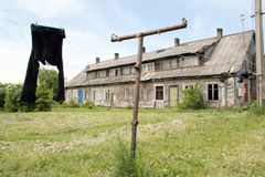 Įsiutęs šuo sužalojo septinmetę Įsiutęs šuo sužalojo septinmetę