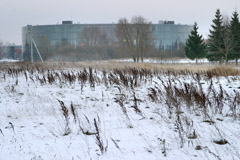 Šiauliai be viešbučių praranda krepšinį Šiauliai be viešbučių praranda krepšinį