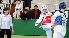 Taekvondo čempionate šiauliečiai skynė pergales Taekvondo čempionate šiauliečiai skynė pergales