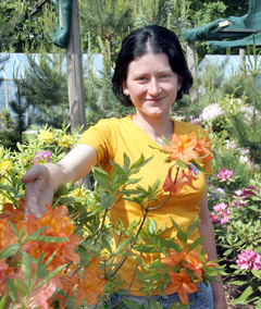 Rododendrų auginimo gudrybės Rododendrų auginimo gudrybės