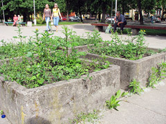 Balandų skveras Balandų skveras
