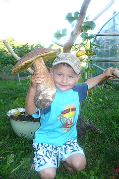KONKURSAS „GRYBŲ GRYBAI“ KONKURSAS „GRYBŲ GRYBAI“