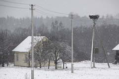Kaimynas įtariamas prievartavęs kaimyną Kaimynas įtariamas prievartavęs kaimyną