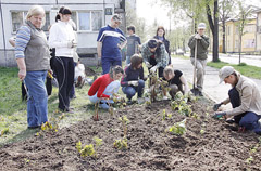 Gatvė pražys rūtomis ir pinavijomis Gatvė pražys rūtomis ir pinavijomis