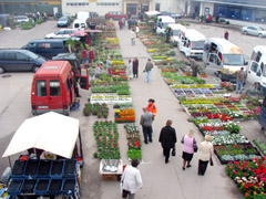 Į turgų grįžta tradicijos Į turgų grįžta tradicijos