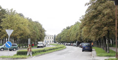 Kaštonų alėja gali likti be kaštonų Kaštonų alėja gali likti be kaštonų