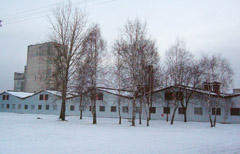 Krizės rykštė pasiekė kiaulių augintojus Krizės rykštė pasiekė kiaulių augintojus