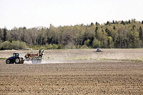 Sėja – pavasarį, rinkimai – rudenį Sėja – pavasarį, rinkimai – rudenį