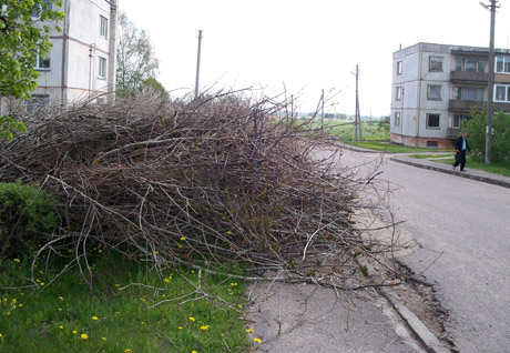 Nukirsti medžiai ir netvarkomos šakos sukėlė įtarimų Nukirsti medžiai ir netvarkomos šakos sukėlė įtarimų