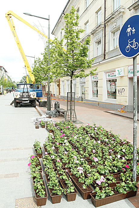 Miestas puošiasi žaidynėms Miestas puošiasi žaidynėms