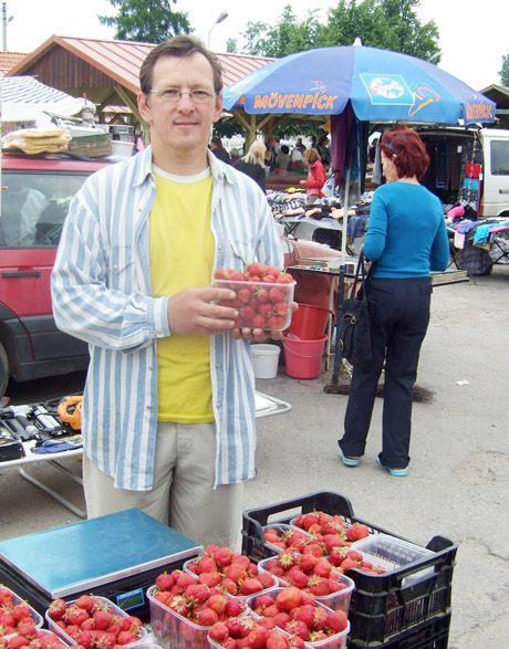 Braškių derlius šiemet kuklesnis Braškių derlius šiemet kuklesnis
