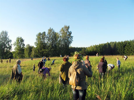 Rasos – ant Kubilių piliakalnio Rasos – ant Kubilių piliakalnio