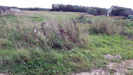 Savivaldybės statybos po bendruomenės vėliava Savivaldybės statybos po bendruomenės vėliava