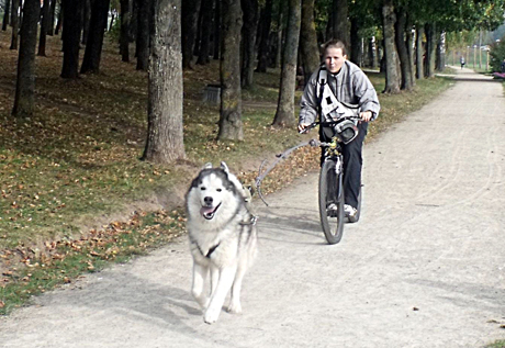 Dvarininkai – šunys Dvarininkai – šunys