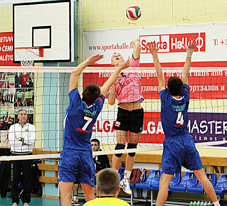 Startavo tinklinio čempionatas Startavo tinklinio čempionatas