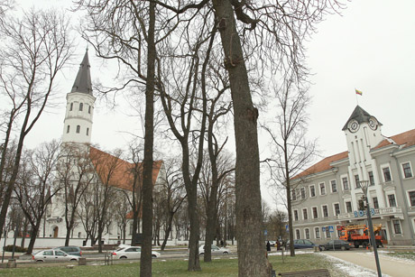 Šiaulių katedra taps tikinčiųjų turtu Šiaulių katedra taps tikinčiųjų turtu