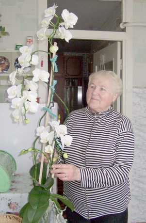Pradžiugino orchidėjos žiedai Pradžiugino orchidėjos žiedai