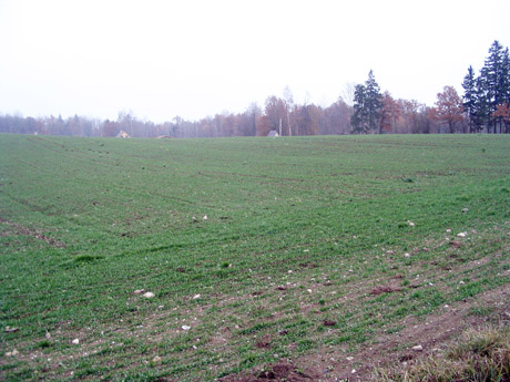 Padovanojęs žemę prašo pašalpų Padovanojęs žemę prašo pašalpų