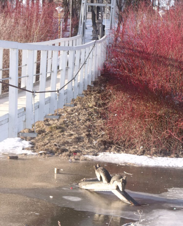 Miestas kenčia nuo chuliganų