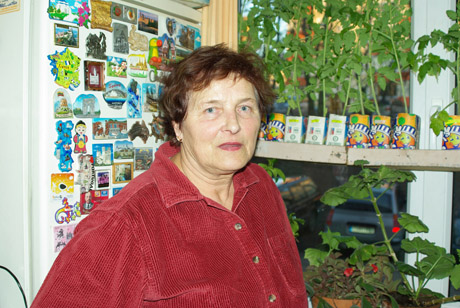 Pomidorų daigai veši bute Pomidorų daigai veši bute