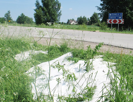 Po liūties su kruša liko krūva ledo Po liūties su kruša liko krūva ledo