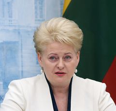 Metinis Prezidentės pranešimas: sėkmės Lietuvą kuriame patys Metinis Prezidentės pranešimas: sėkmės Lietuvą kuriame patys