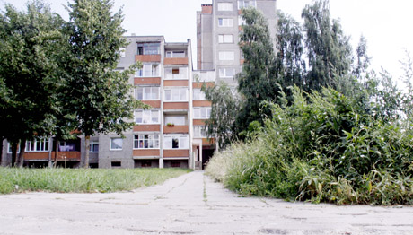 Gyventojams teks rūpintis ir žole, ir sniegu Gyventojams teks rūpintis ir žole, ir sniegu