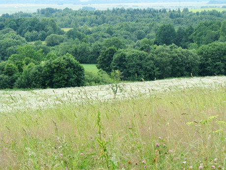 Prasidės lietingos dienos Prasidės lietingos dienos