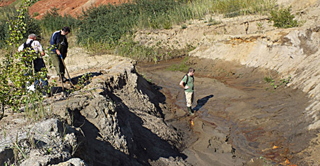 Pirmoji vieša geologinių senienų paieška