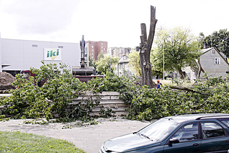 Aikštelė rengiama prekybos paviljonui Aikštelė rengiama prekybos paviljonui