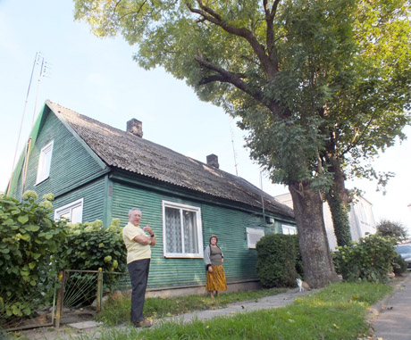 Šeima bando išsaugoti storakamienius medžius Šeima bando išsaugoti storakamienius medžius