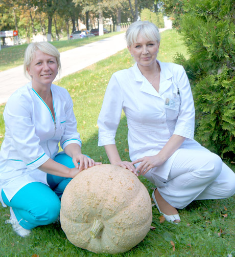 Gydytojas moliūgą dovanojo kolegoms Gydytojas moliūgą dovanojo kolegoms