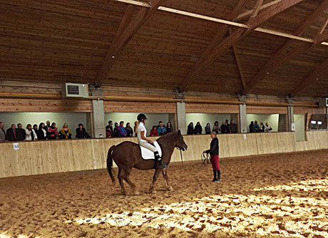 Gydyti padės ir Kurtuvėnų žirgai