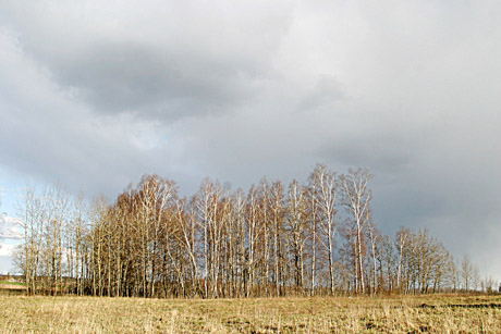 Šią savaitę orai šils kasdien, o jos pabaigoje nušvis saulė Šią savaitę orai šils kasdien, o jos pabaigoje nušvis saulė