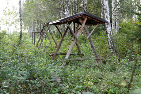 Europos pinigus prarijo miškas Europos pinigus prarijo miškas