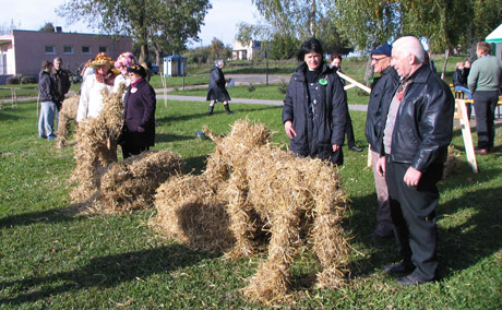 Šniūraičių bendruomenė prisiminė tradicijas Šniūraičių bendruomenė prisiminė tradicijas