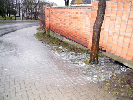 Kas bėga iš po pieninės tvoros?