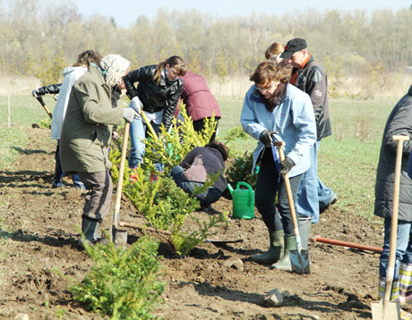 Naujame parke sodinti medeliai