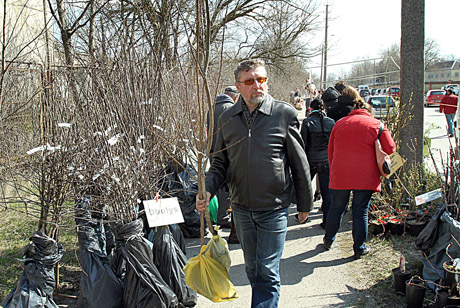 Sodininkai ieško naujovių ir vaismedžių Sodininkai ieško naujovių ir vaismedžių