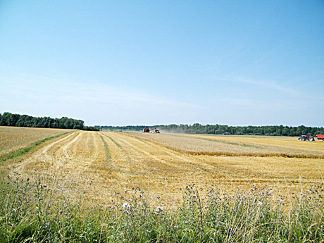 Žemgrobiams ruošiamasi atidaryti ne tik duris, bet ir langus