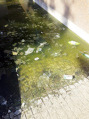 Kodėl miesto tarnai nemato tokios netvarkos?