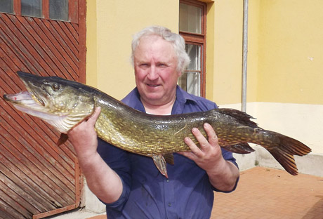 Didžioji lydeka užkibo pirmą žvejybos dieną Didžioji lydeka užkibo pirmą žvejybos dieną