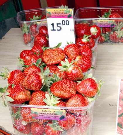 Braškių ragautojams dar liko pusantro mėnesio