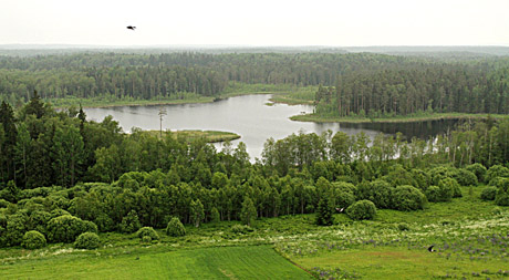 Miškus saugo stebėjimo kameros
