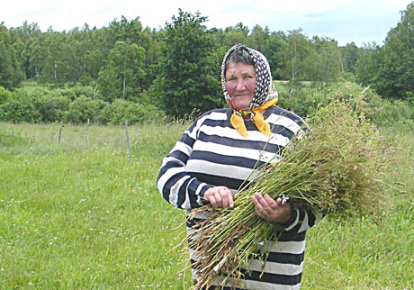 Gyvenimas iš 414 litų pensijos Gyvenimas iš 414 litų pensijos