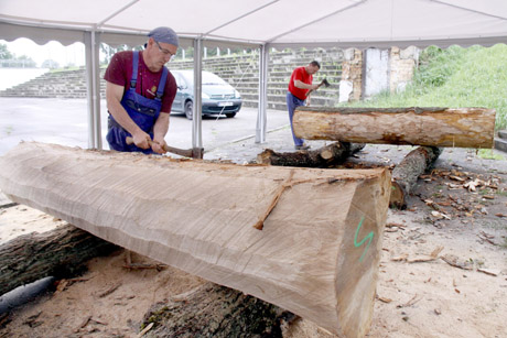 Centro bendruomenė papuoš senąjį parką naujomis skulptūromis