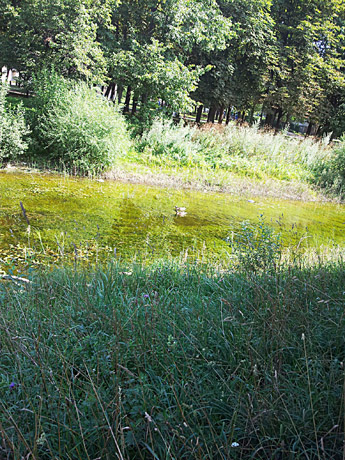 Mokesčius mokame, o ką gauname?