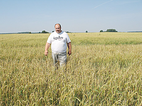 Javapjūtės pradžia – ledai „iškūlė“ miežių lauką Javapjūtės pradžia – ledai „iškūlė“ miežių lauką
