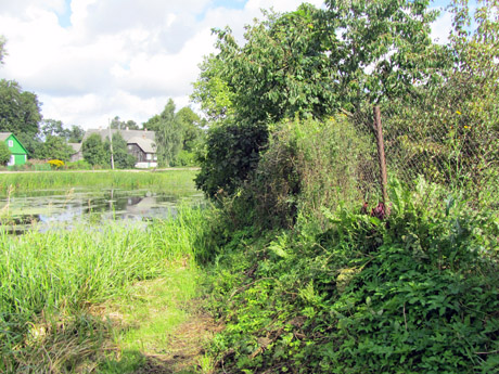 Švėtės upę juosia neteisėtos tvoros